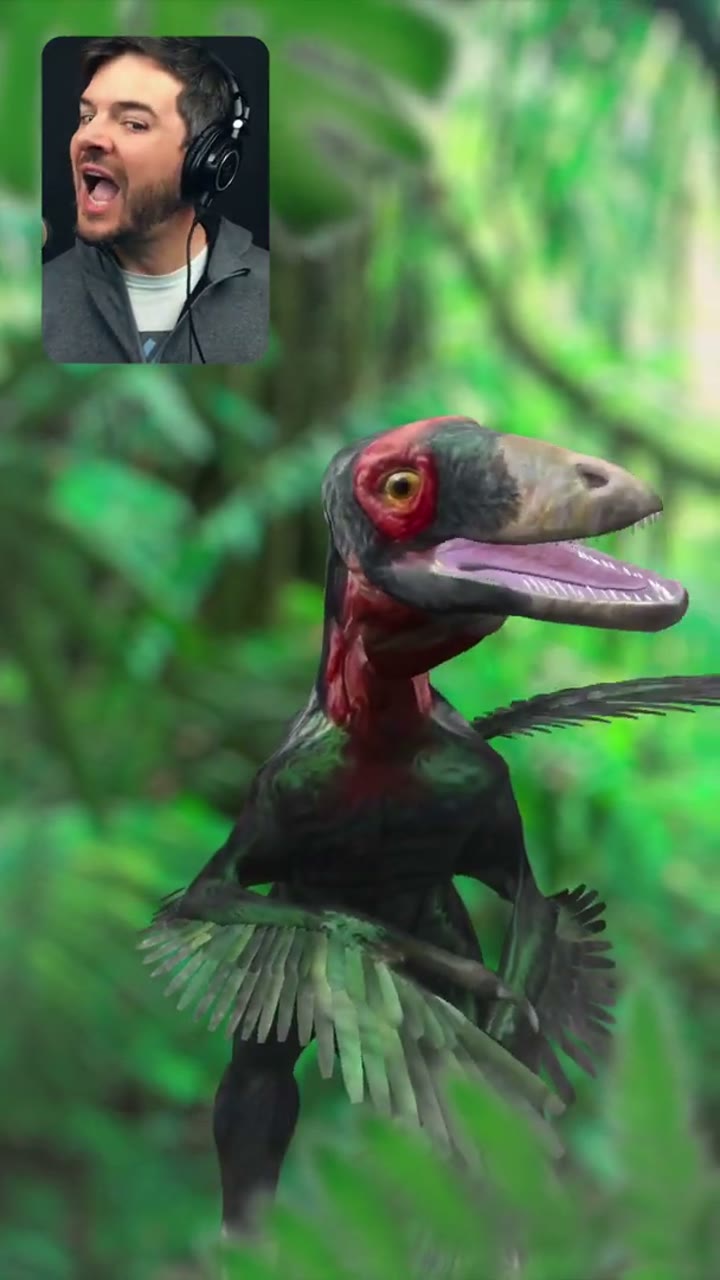 Nat Geo Dinosaurs What We Know AR